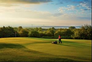 St Pierre2 St Pierre2